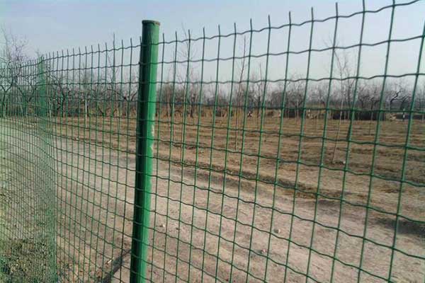 PVC Coated Welded Wire Mesh for Fencing