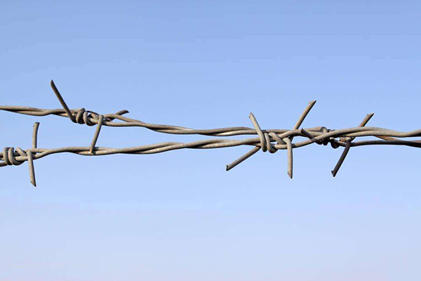 Barbed Wire Fence: Everything You Need to Know