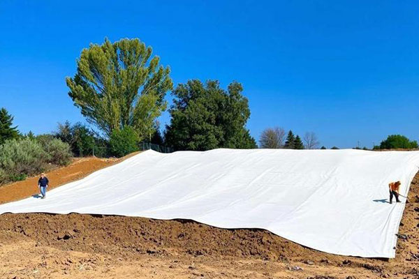 How Much Does Geotextile Fabric Cost Per Square Foot?